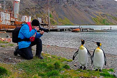 grytsviken